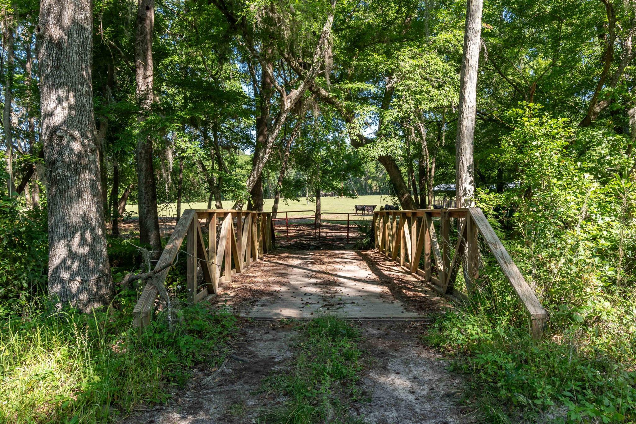 SANCTUARY OAKS - Residential