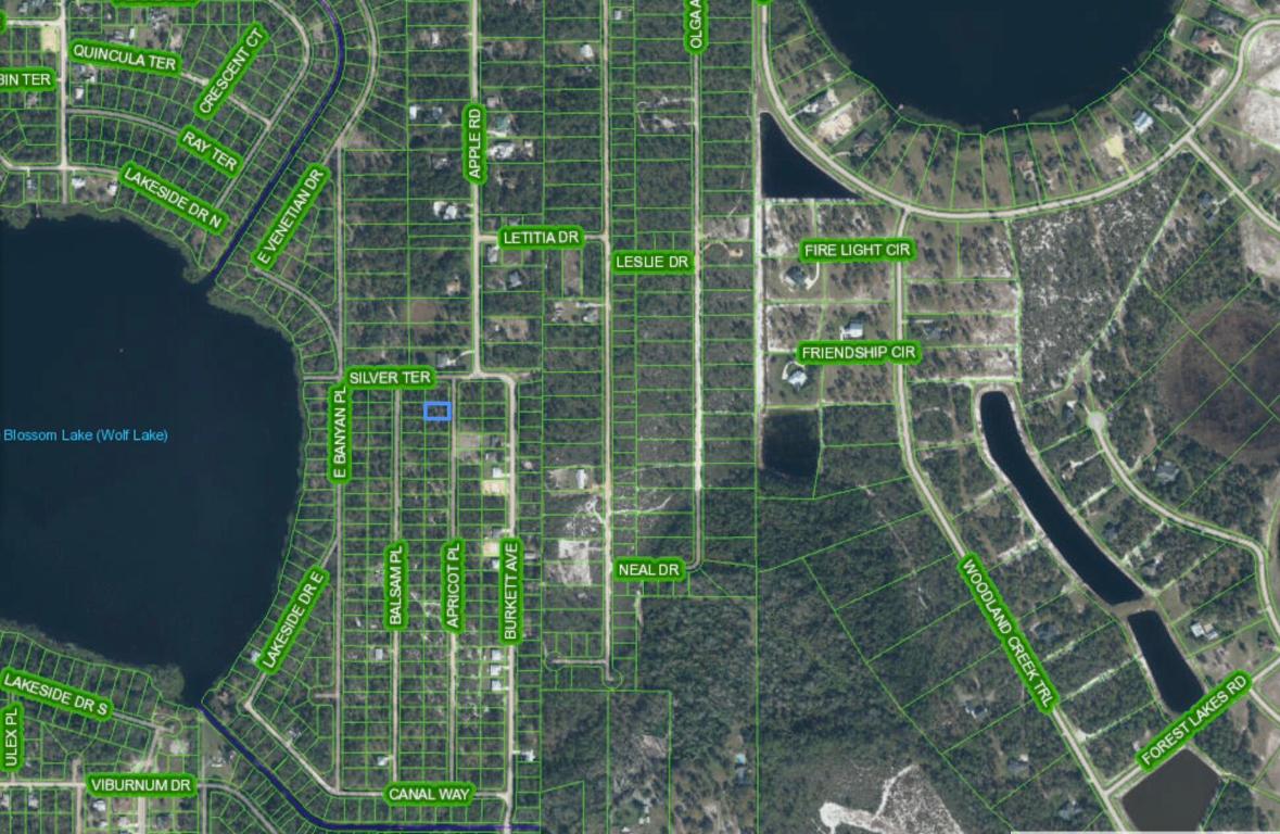 Orange Blossom Estate - Land