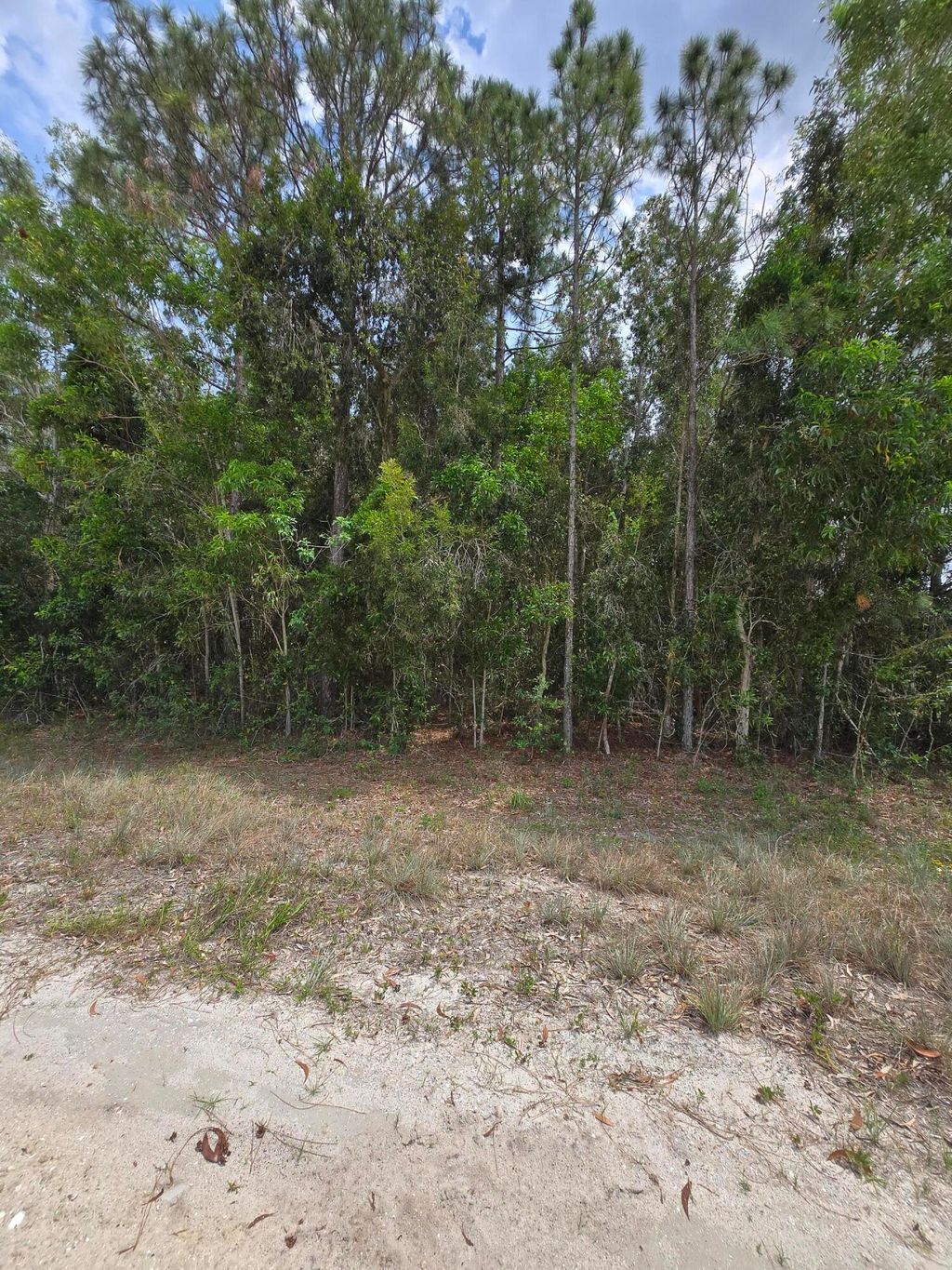 Photo of 42 Nd Road N, Loxahatchee Groves, FL 33470 (MLS # B26028127)