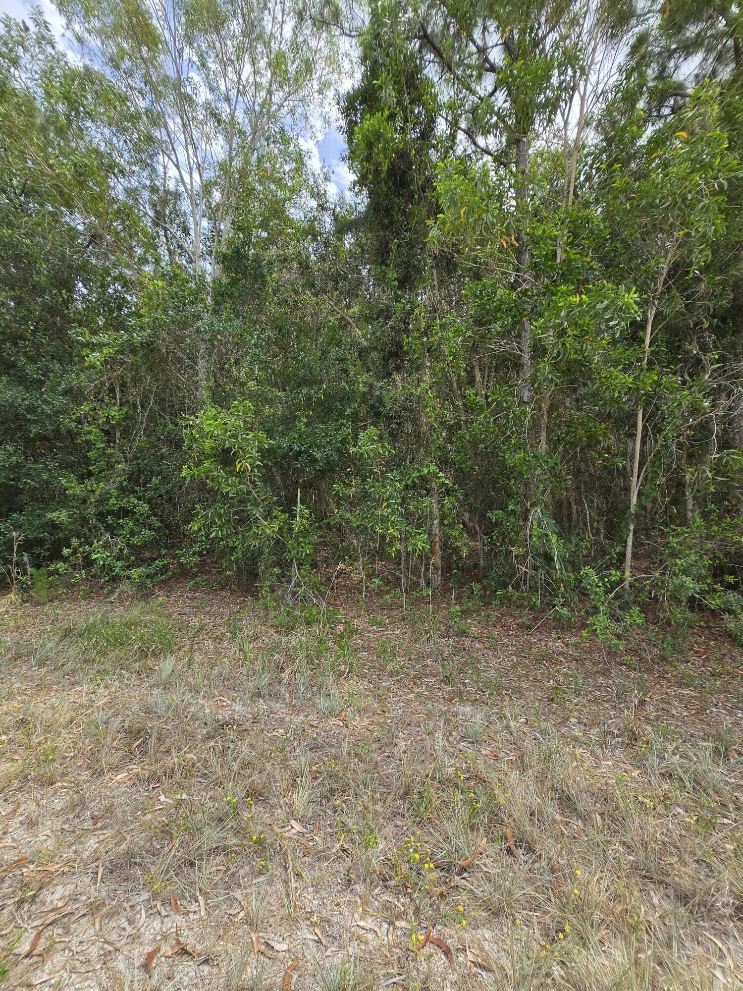 The Acreage - Land