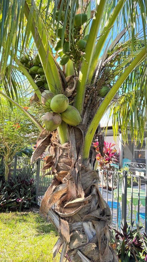 A home in Vero Beach