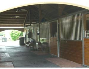 SADDLE TRAIL PARK OF WELLINGTON - Land