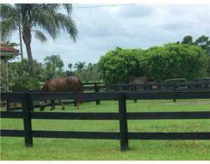 SADDLE TRAIL PARK OF WELLINGTON - Land