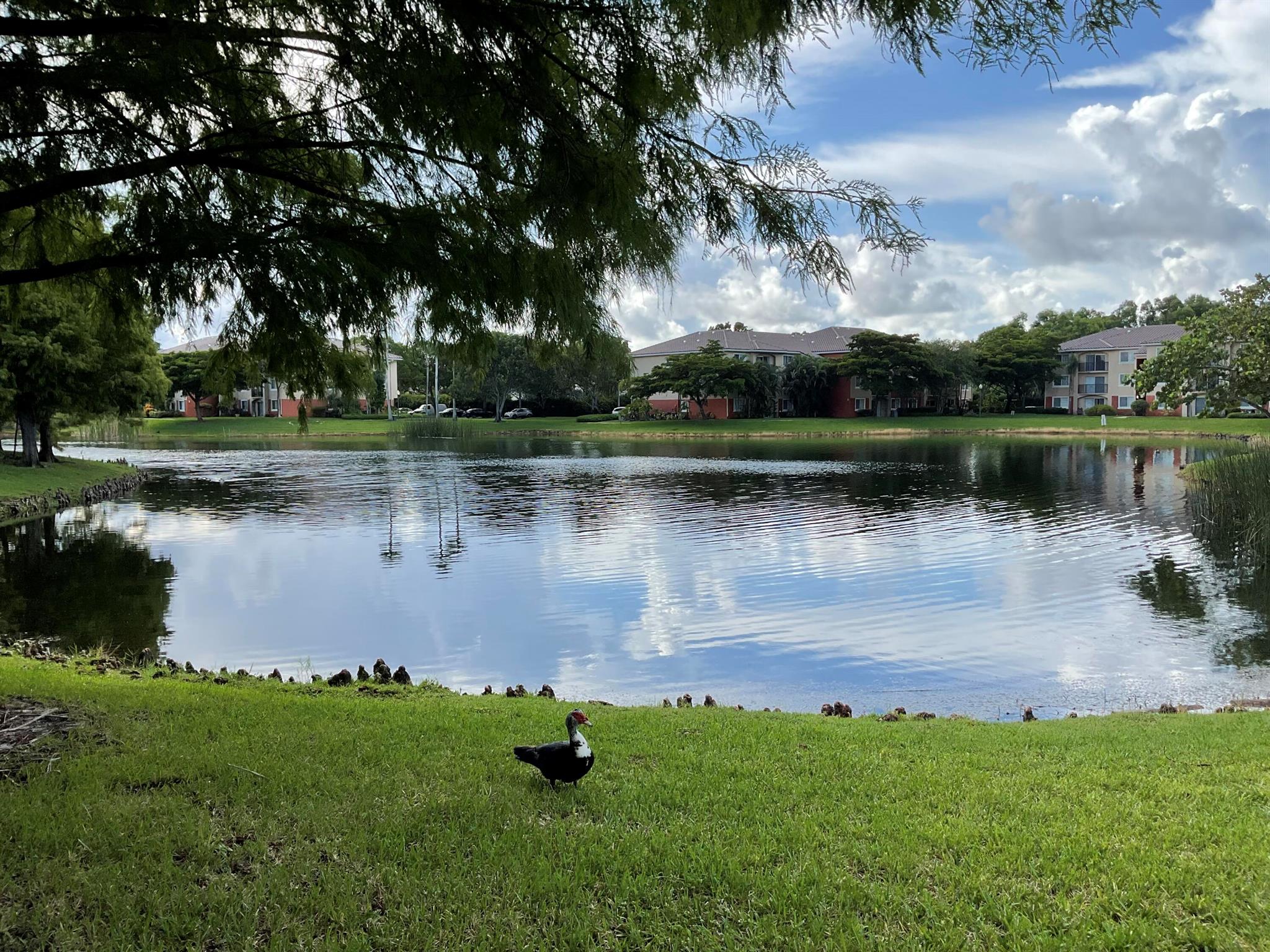 GRAND ISLES CONDO - Residential Lease