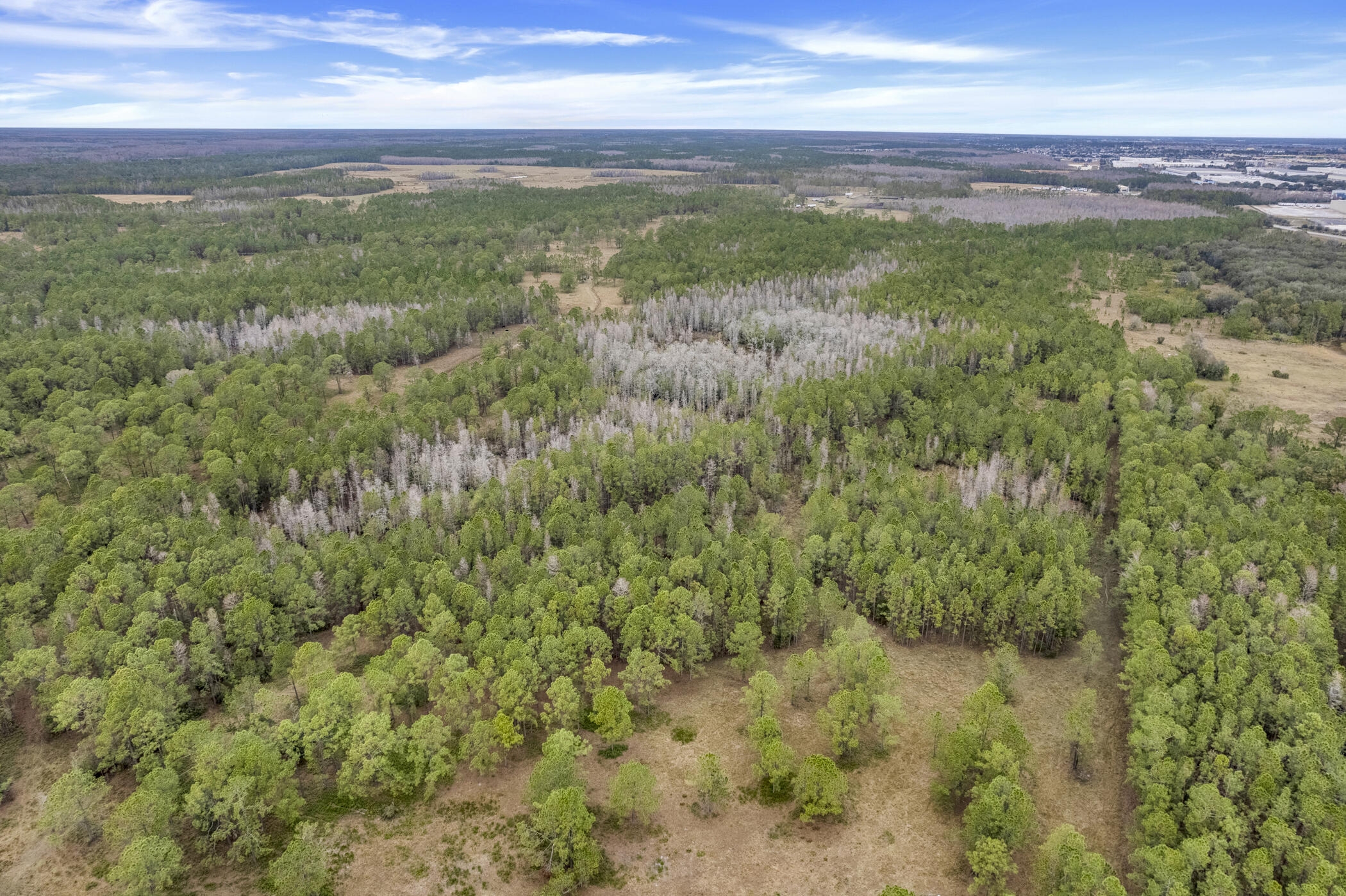 Waverly Growers Dev. PB 39 PGS 7-13 - Land