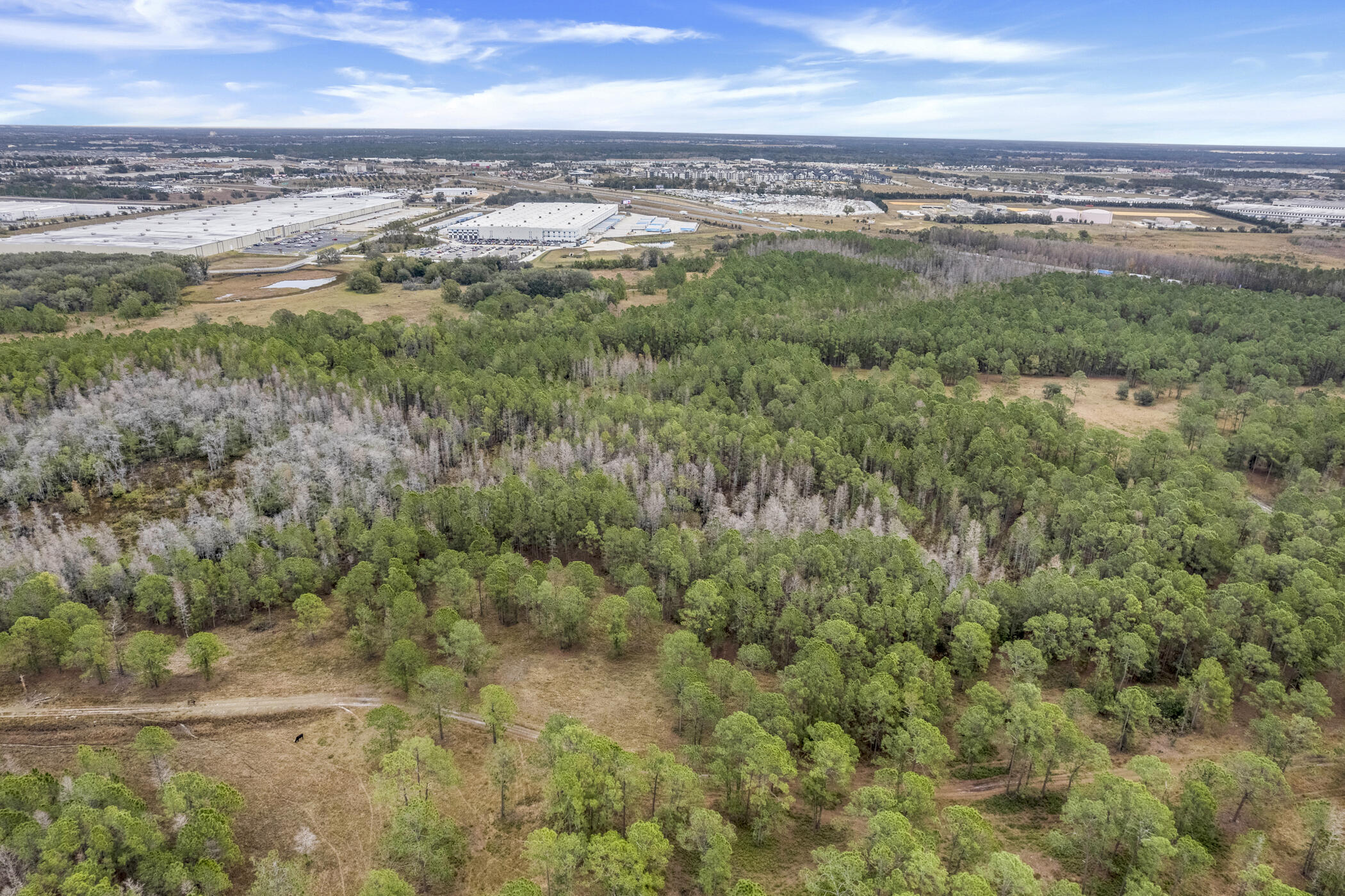 Waverly Growers Dev. PB 39 PGS 7-13 - Land