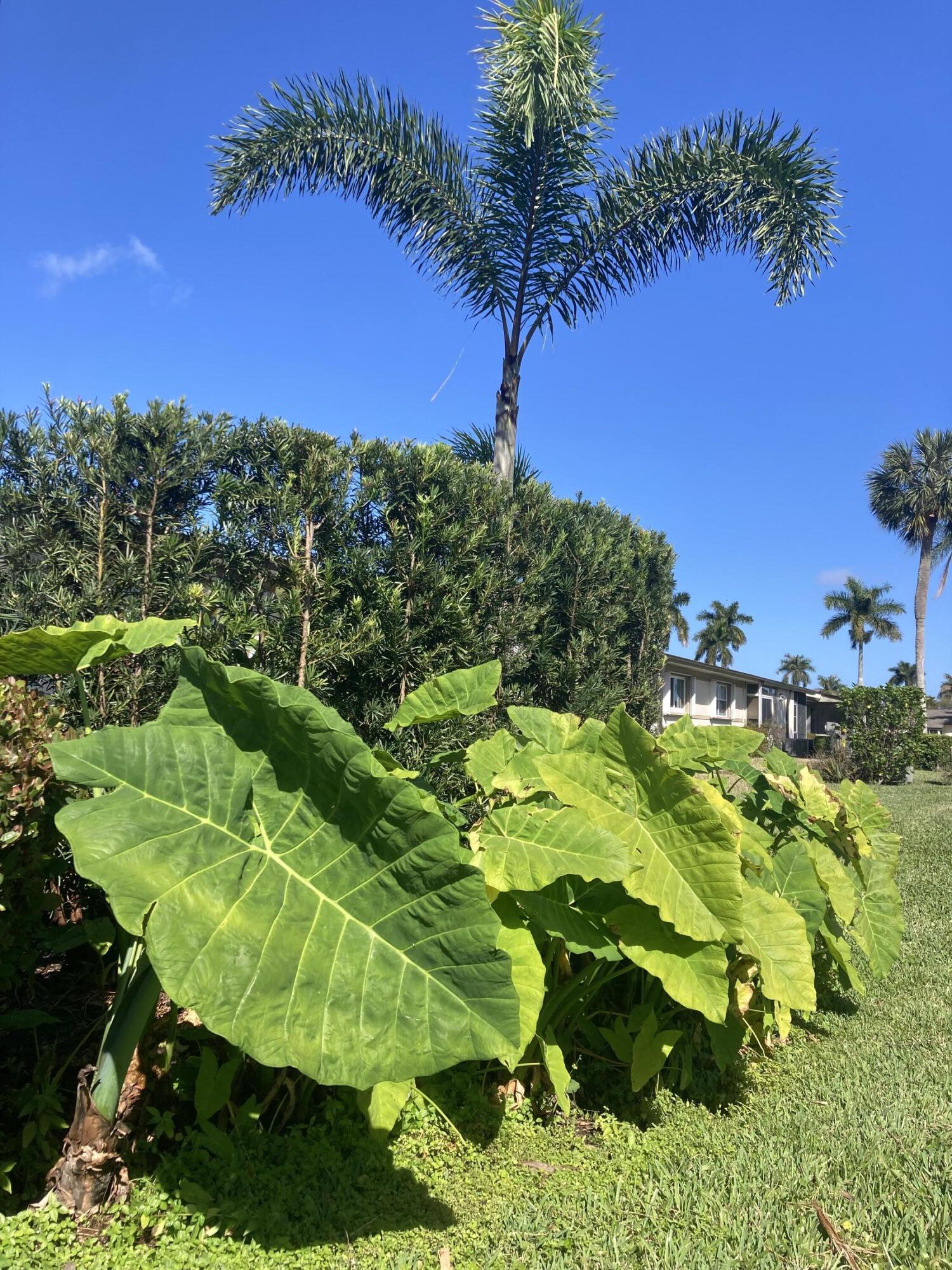 CRESTHAVEN VILLAS 3 CONDO - Residential