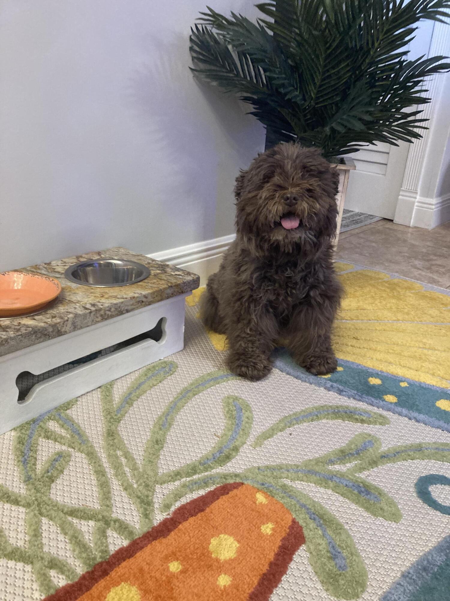 CRESTHAVEN VILLAS 3 CONDO - Residential