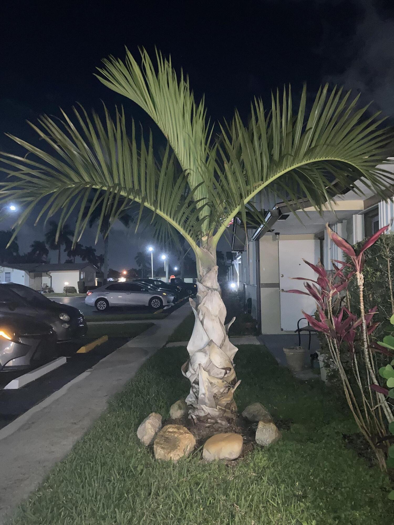 CRESTHAVEN VILLAS 3 CONDO - Residential