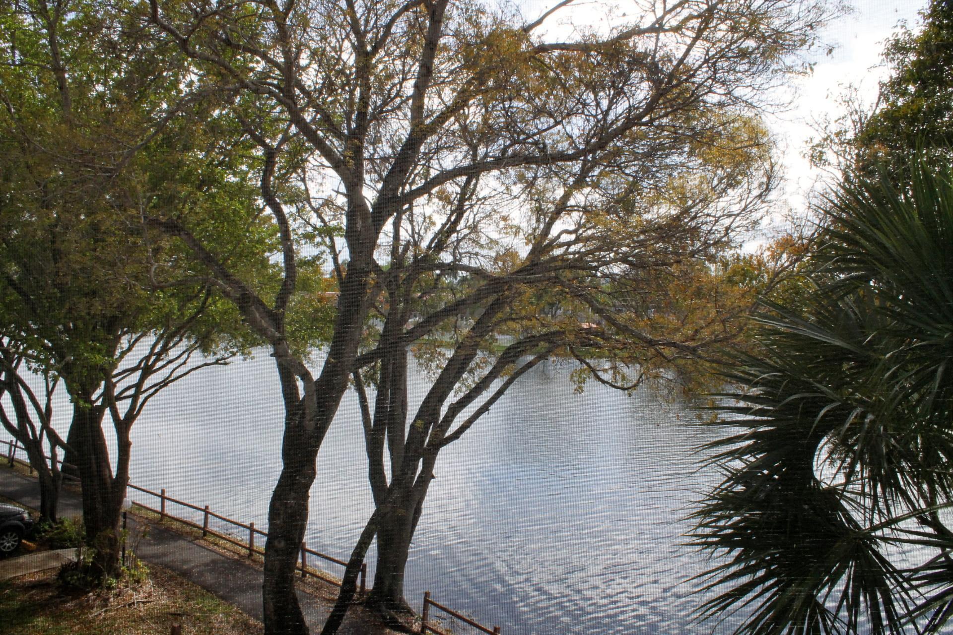 COLONY POINT 3 CONDO - Residential