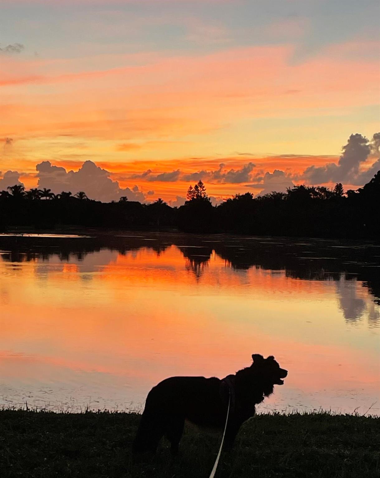 VERONA LAKES - Residential