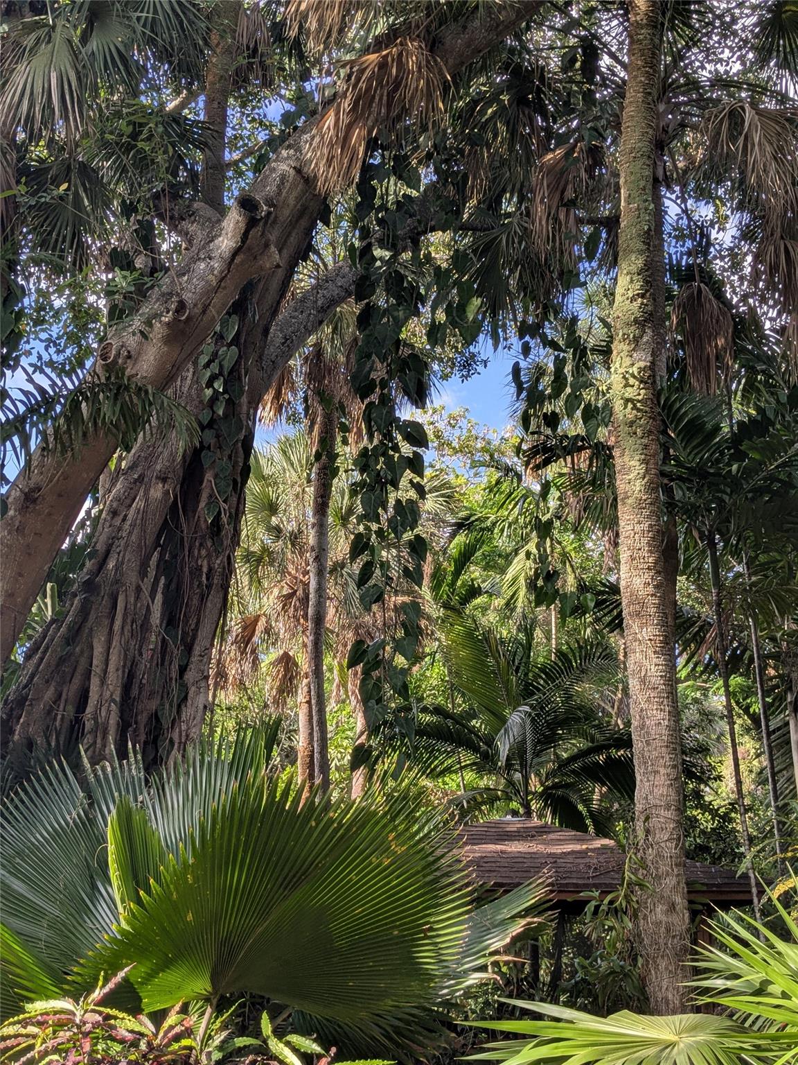 2180 SW 28 Way, Fort Lauderdale, FL, 33312/$750,000 3 2180 SW 28 Way