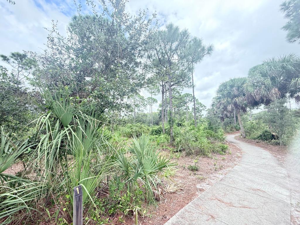 SIMS CREEK PH II - Residential