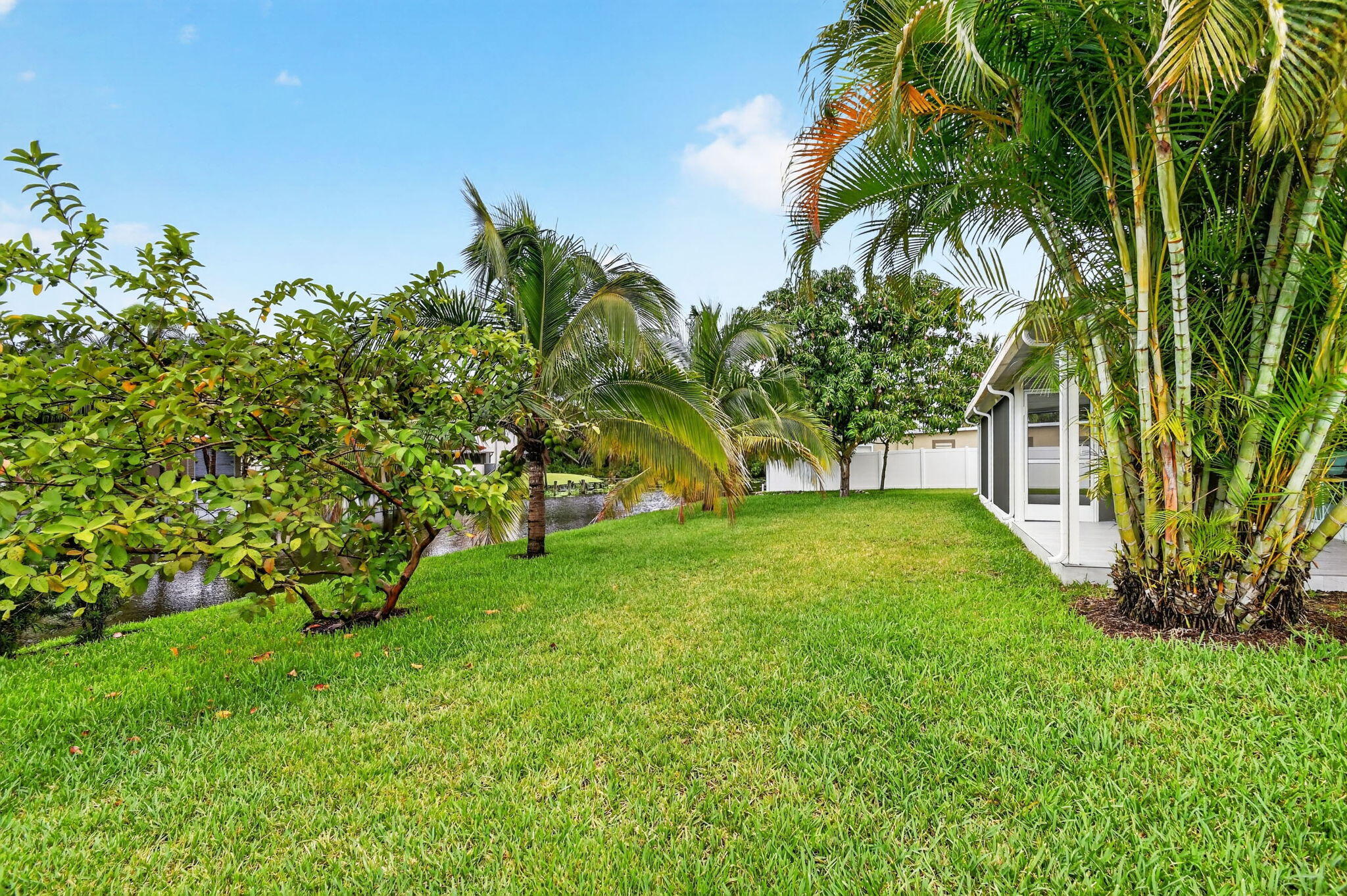 WEST PALM HARBOR - Residential