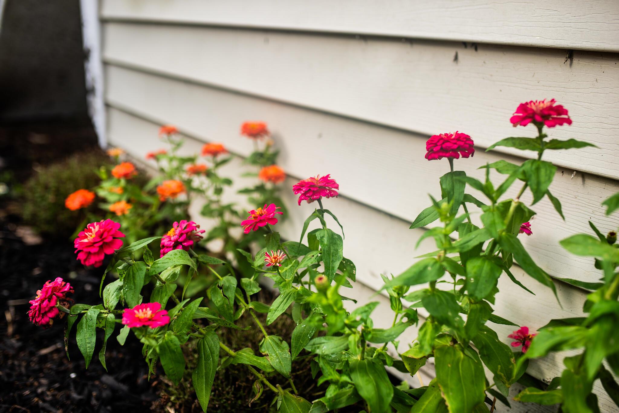 LAKE WORTH TOWN OF - Residential