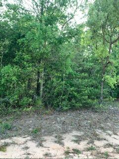 0 Gardenia Drive