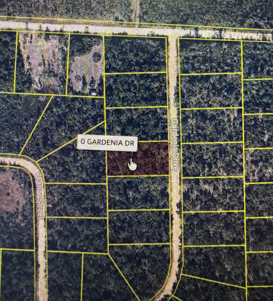 Build your dream home on this oversized 1.1496-acre lot in Compass Lake in the Hills! Enjoy voluntary HOA amenities for only $135/year, including access to 2 lakes for fishing, boating, water skiing, jet skiing, kayaking & swimming. Community features also include tennis courts, horse stables/riding trails, golf driving range, clubhouse, RV spots, rental cabins, boat rentals, swimming pool, and a lakeside restaurant accessible by boat. Perfect location for nature lovers, conveniently situated between Panama City and Dothan with a short drive to the beach. Seller Financing avaialbe. Great opportunity at an amazing price!