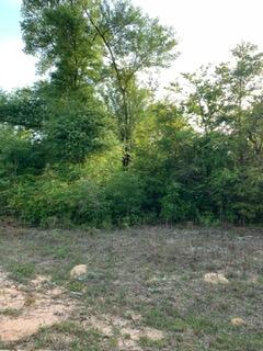 0 Gardenia Drive