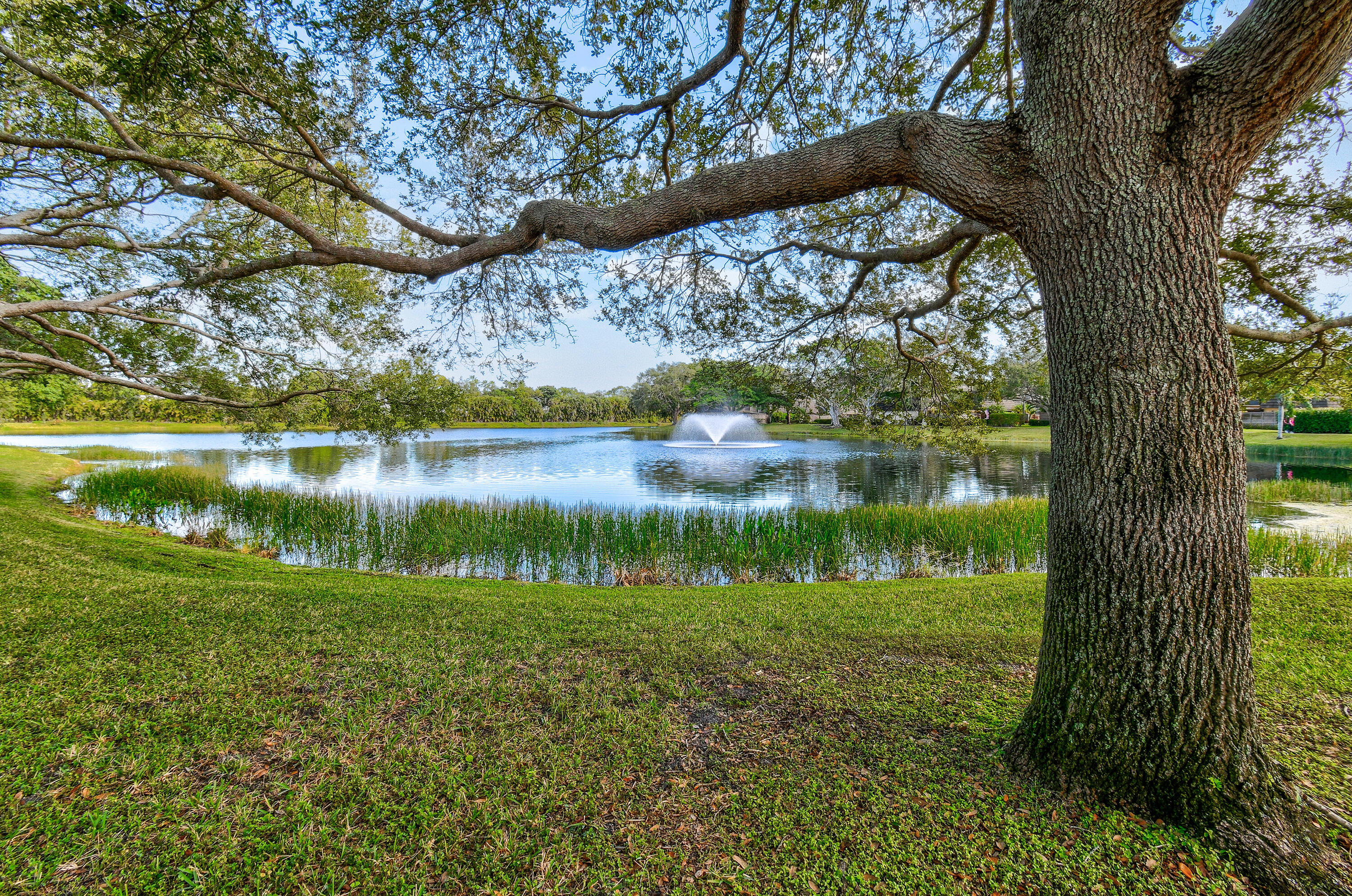Glenwood Townhomes - Residential