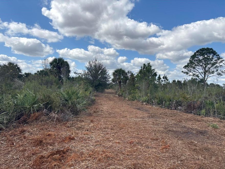 Set up your camp in the hammock on the northwest corner of this 2.5 acre Okeechobee property with a low down payment.
owner financing available
