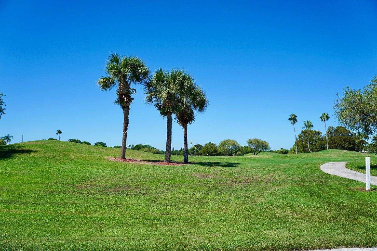 THE PRESERVE AT SAVANNA CLUB - Residential