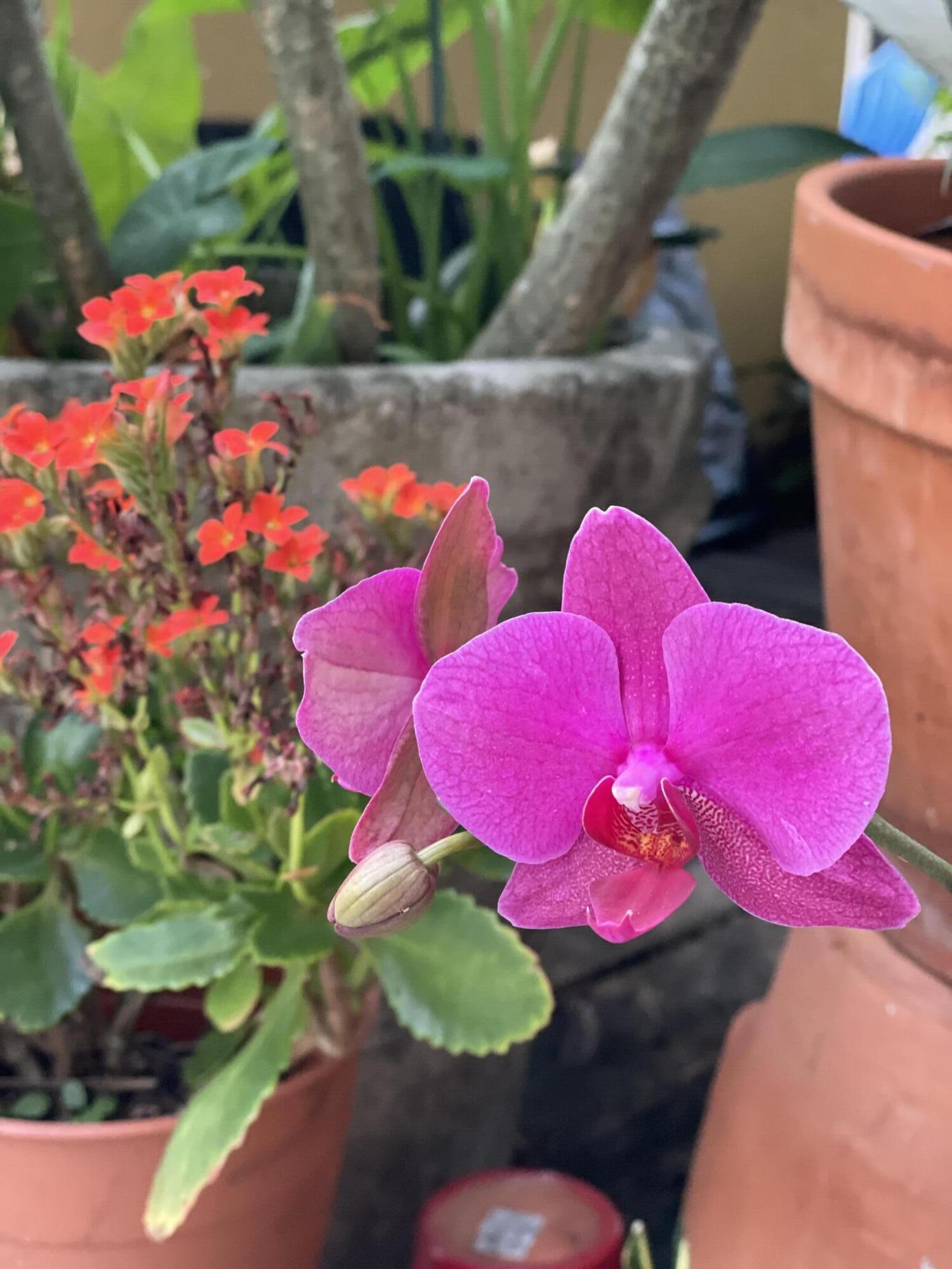 LAKE WORTH TOWN OF ADD 1 - Residential