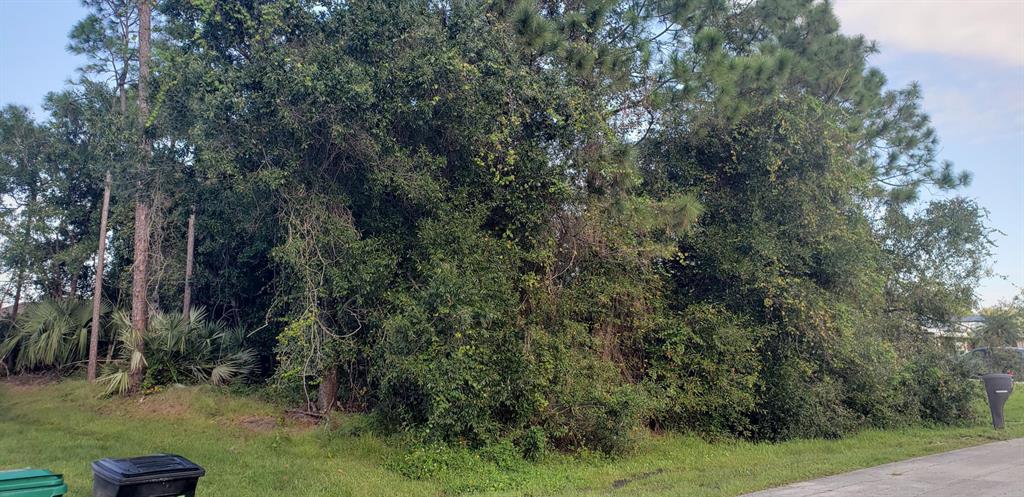 Build your dream home surrounded by other new builds! Great location with easy access to major highways.