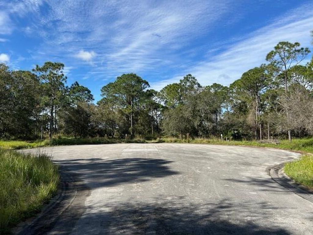 Photo of 10656 Lighter Wood Lane, Fort Pierce, FL 34945 (MLS # R11046182)