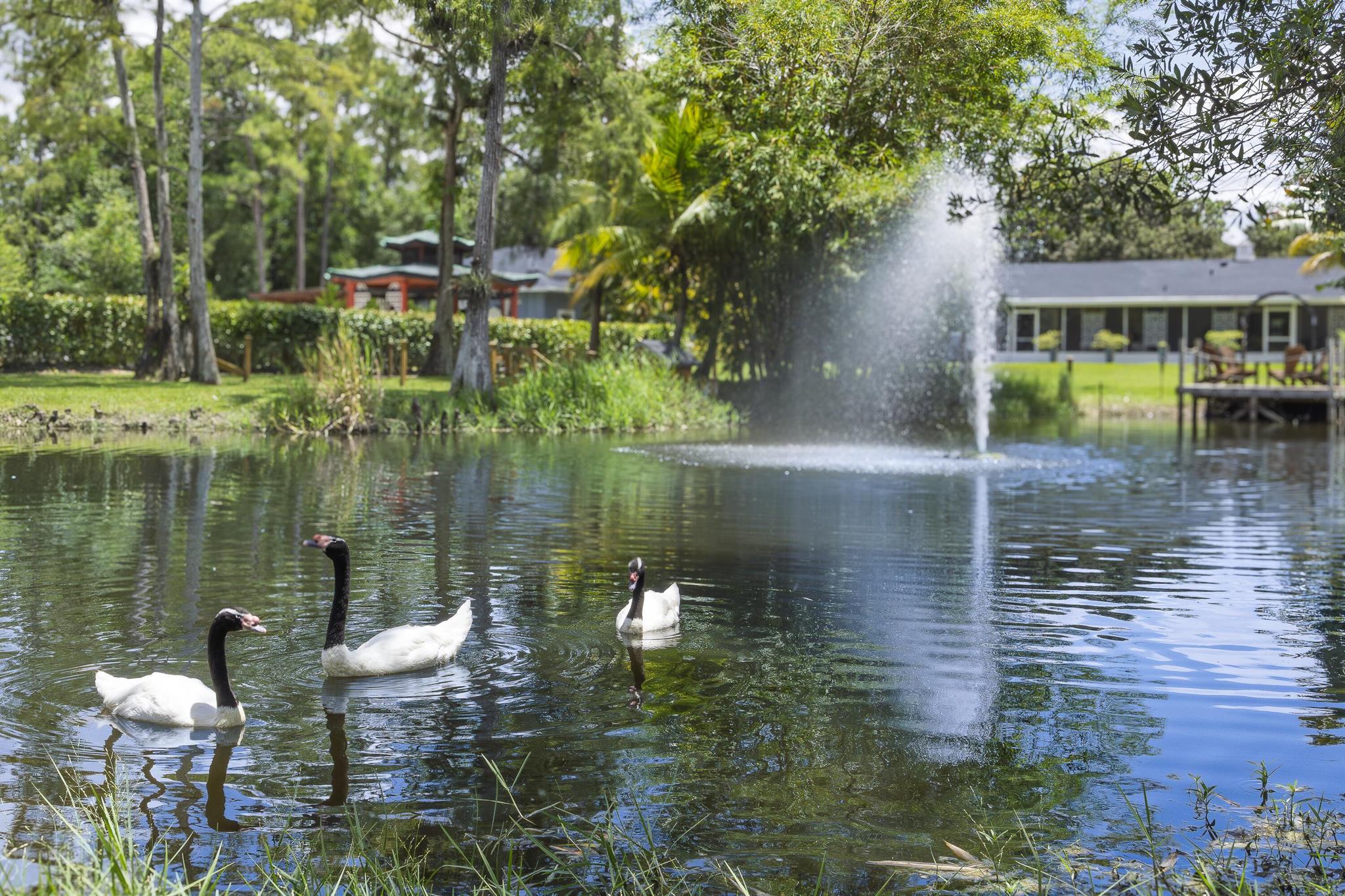 LOXAHATCHEE GROVES - Residential Lease