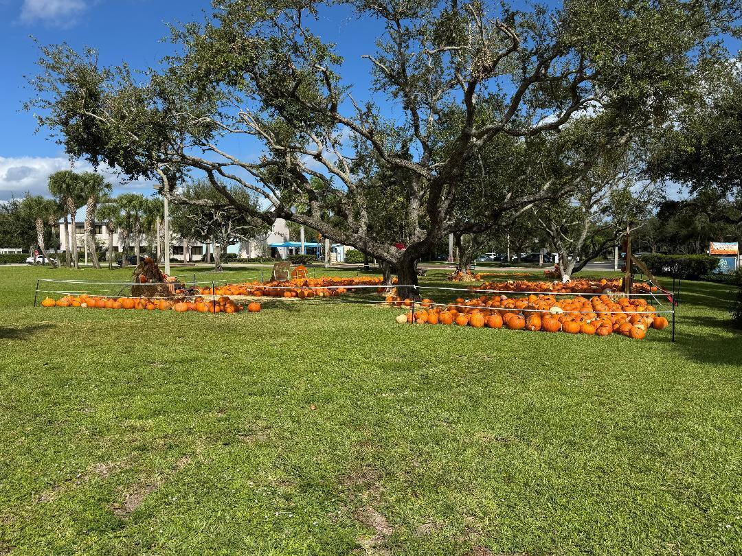 JUNO ISLES 3 - Residential Lease