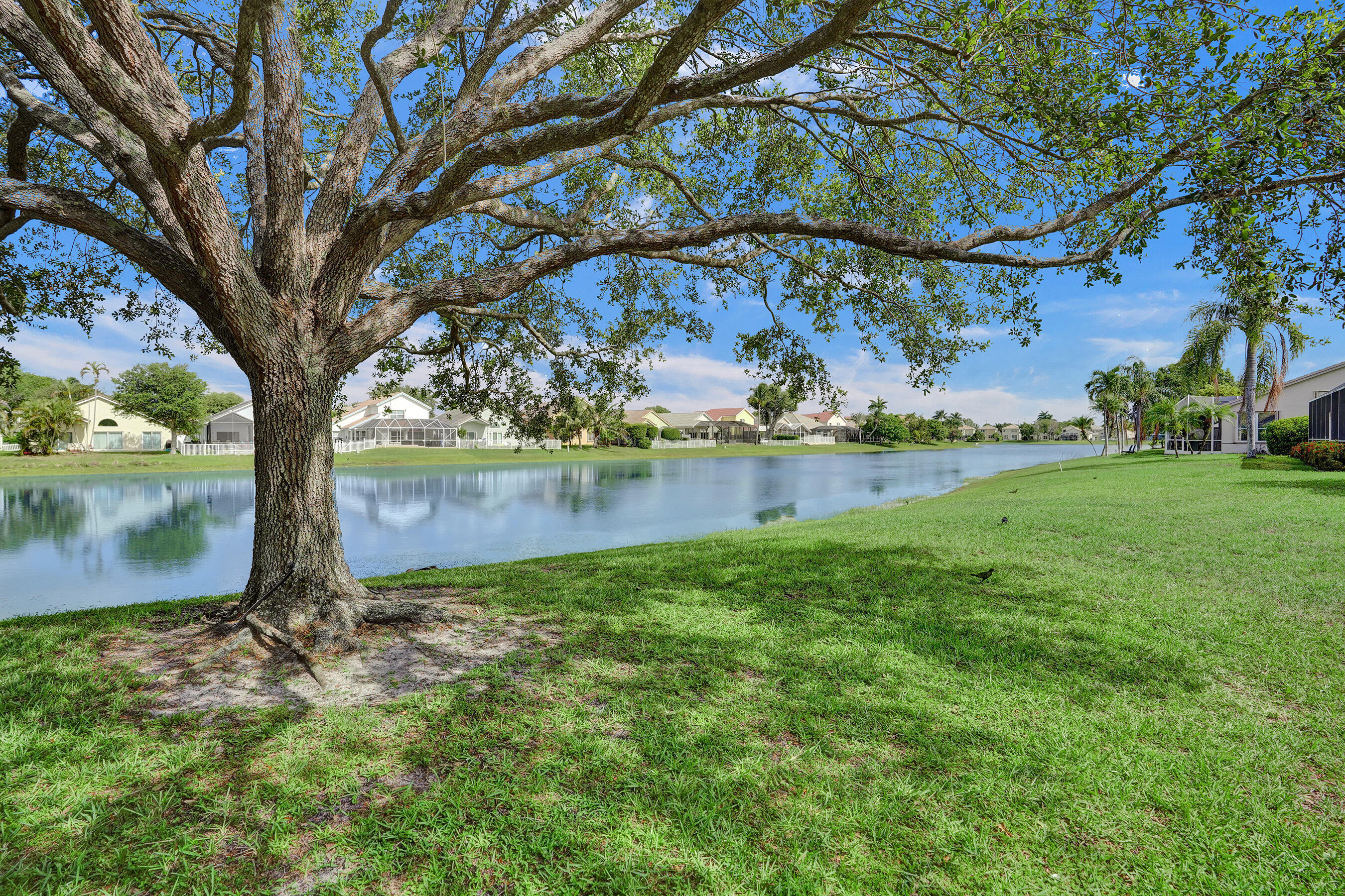 LAKE CHARLESTON / WATER'S EDGE - Residential