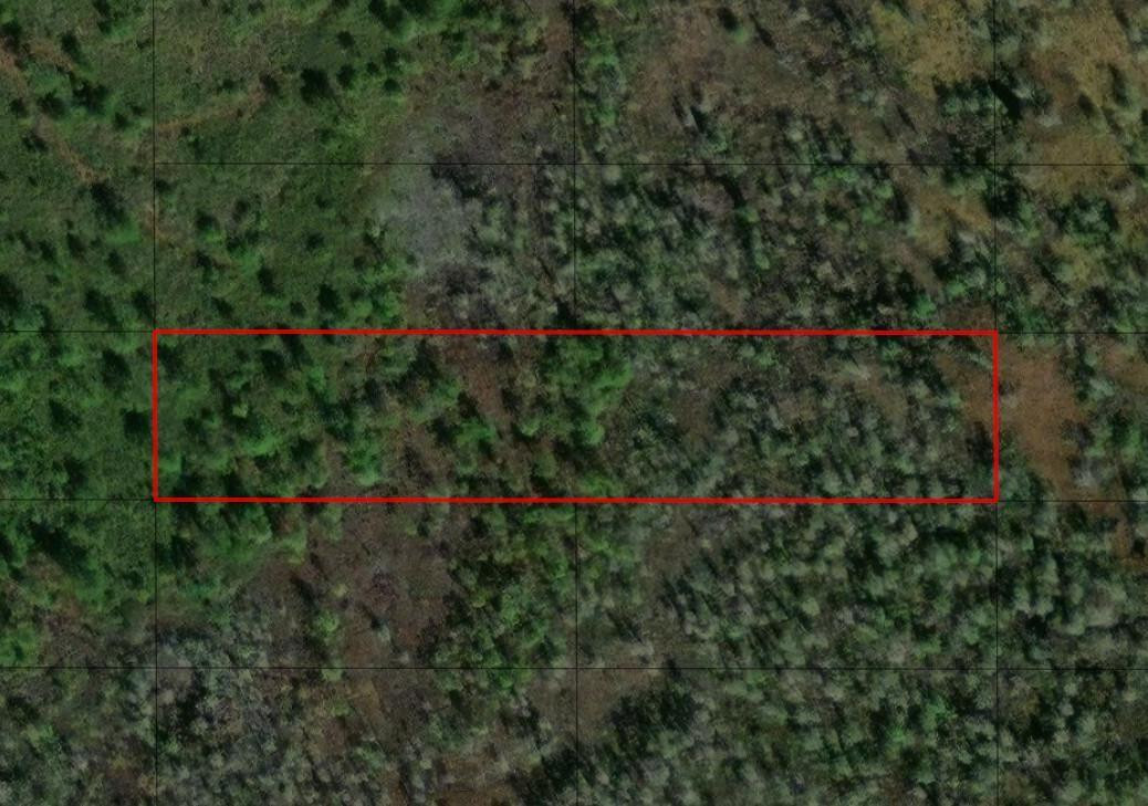 Opp26 Orlando Pines - Land