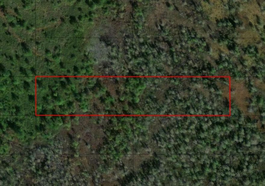 CAMP HUNT RIDE off Old Grade Road in Polk City, FL. This private two acre double lot is a blank canvas for your recreational and/or agricultural ventures. Take advantage of our owner financing with only $1,500 down and no closing costs. Keep both lots for yourself or buy together with a friend or family member