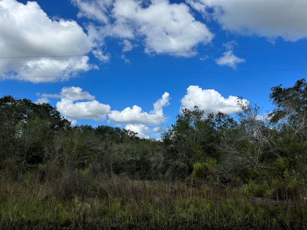 Build or bring your dream home and barn on this beautiful and private semi clear 1.25-acre corner canal lot just off the paved road and large enough so you can bring your animals too. With power poles on this street making, it easy to put power at your new home has some of trees for privacy. There is so much to enjoy in Okeechobee County. Come to The Kissimmee River Preserve State Park West of this area as well is the Kissimmee River. The Kissimmee River flows into Lake Okeechobee and is well known for some of the best fishing. whether you like Fishing, hunting, mudding agriculture or just privacy here you have it all.