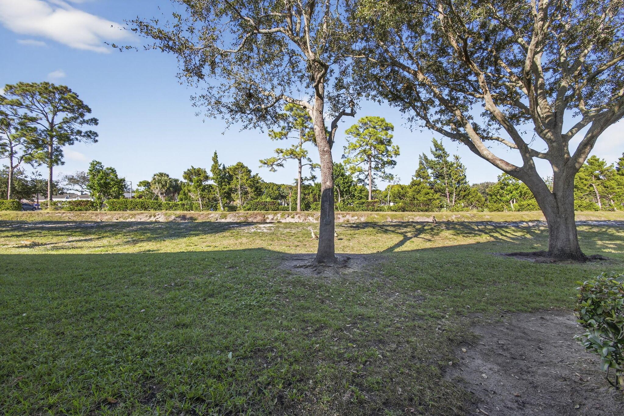 MAGNOLIA BAY CONDOMIMIUM - Residential Lease