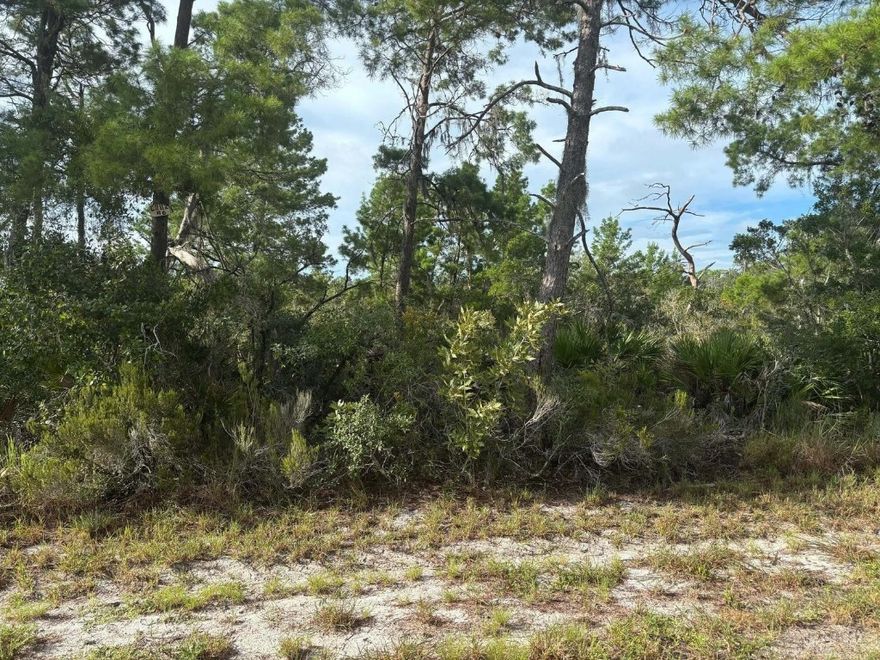 Great building lot in Placid Lakes on a paved road. Adjacent property available to purchase.Owner financing with only 2500 down