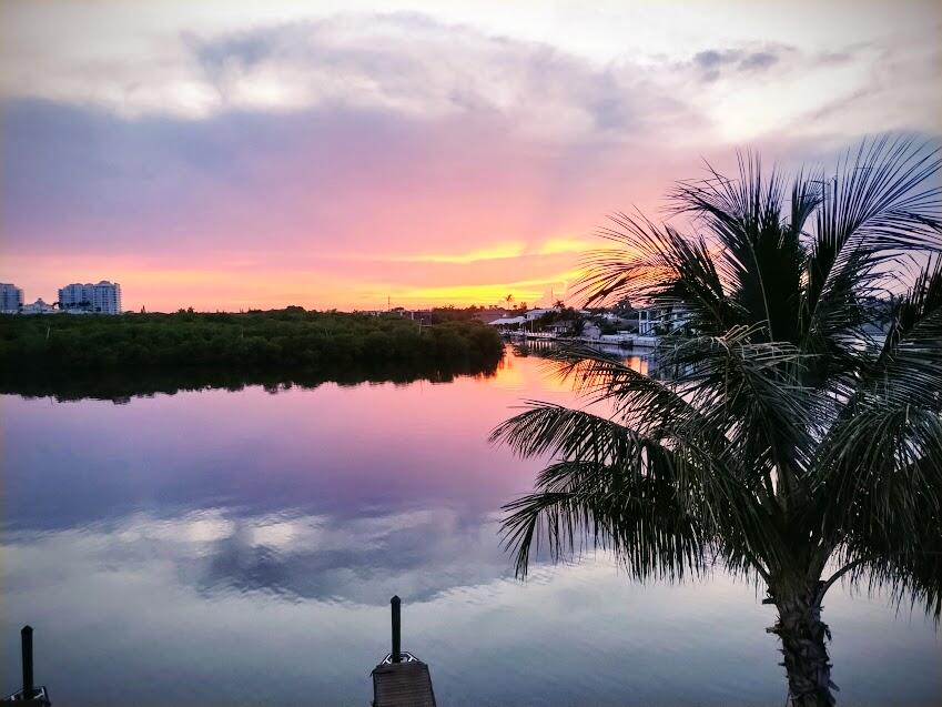 WELLINGTON ARMS CONDOS - Residential