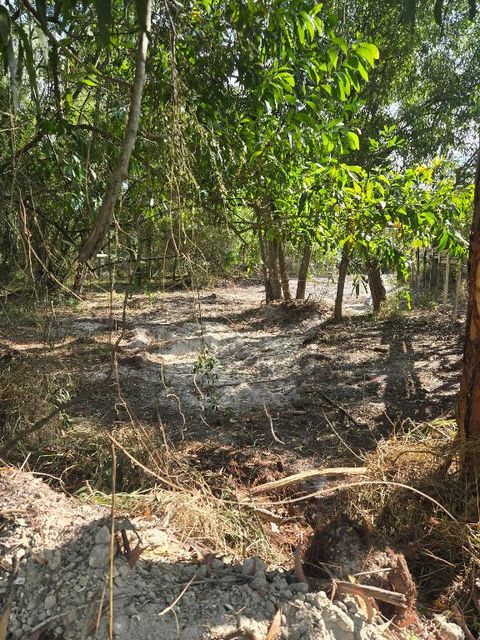 17534 42nd Road N The Acreage FL 33470