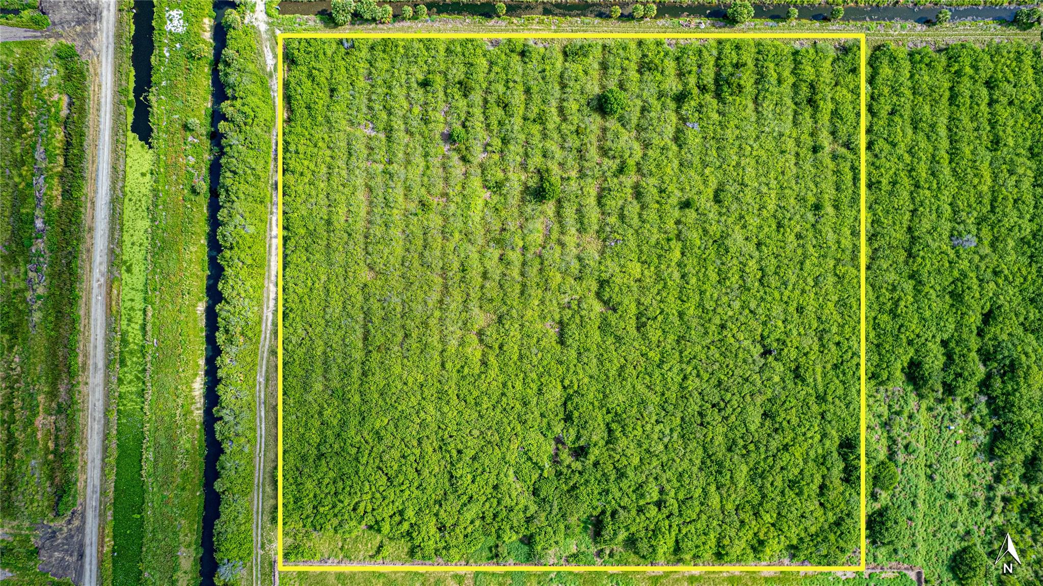 Fellsmere Farms - Land