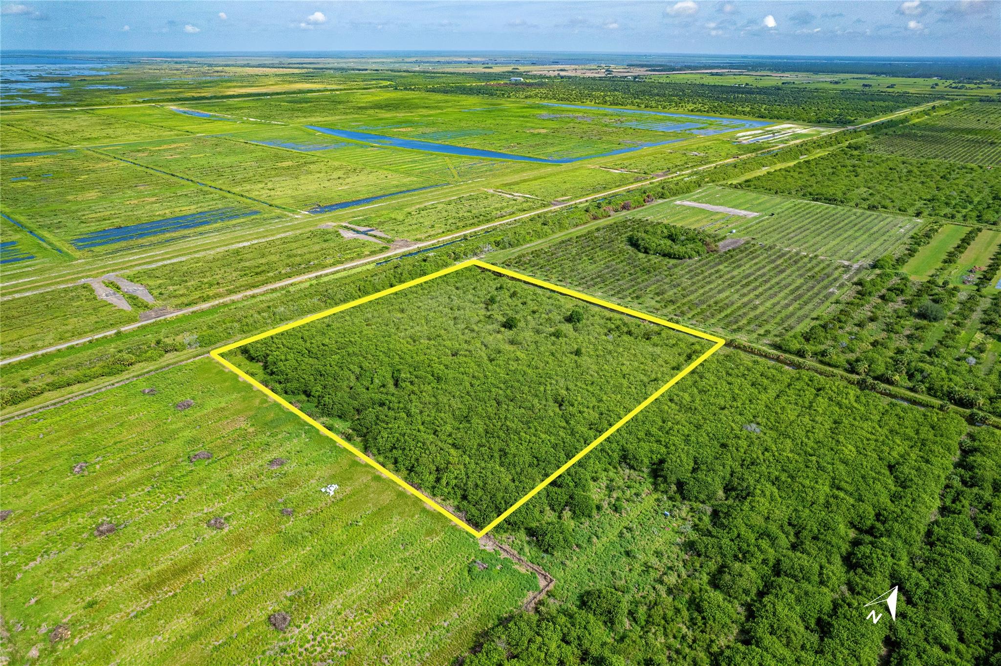 Fellsmere Farms - Land