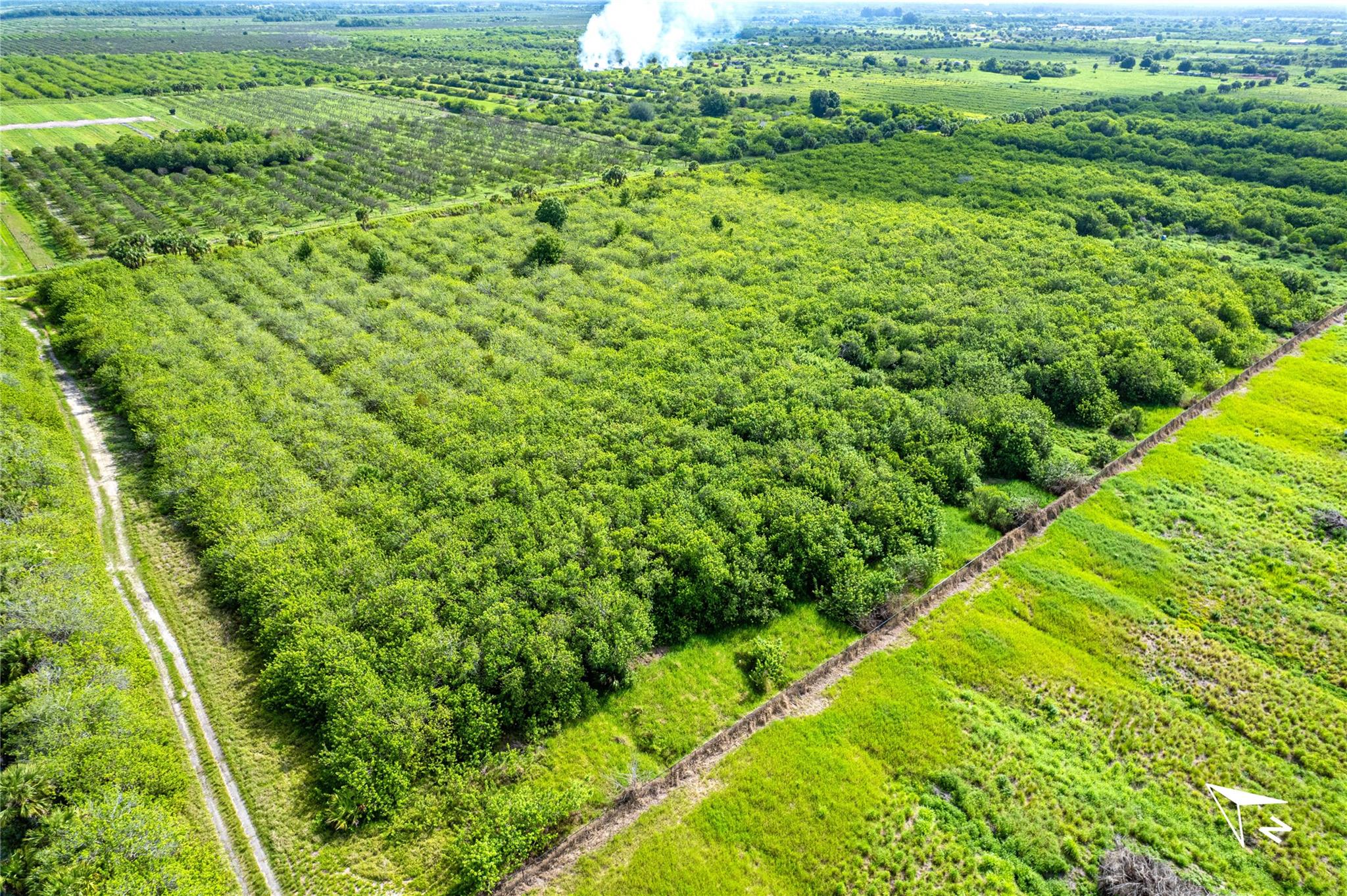 Fellsmere Farms - Land