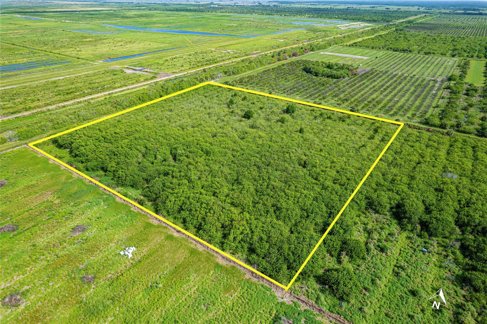 Fellsmere Farms - Land