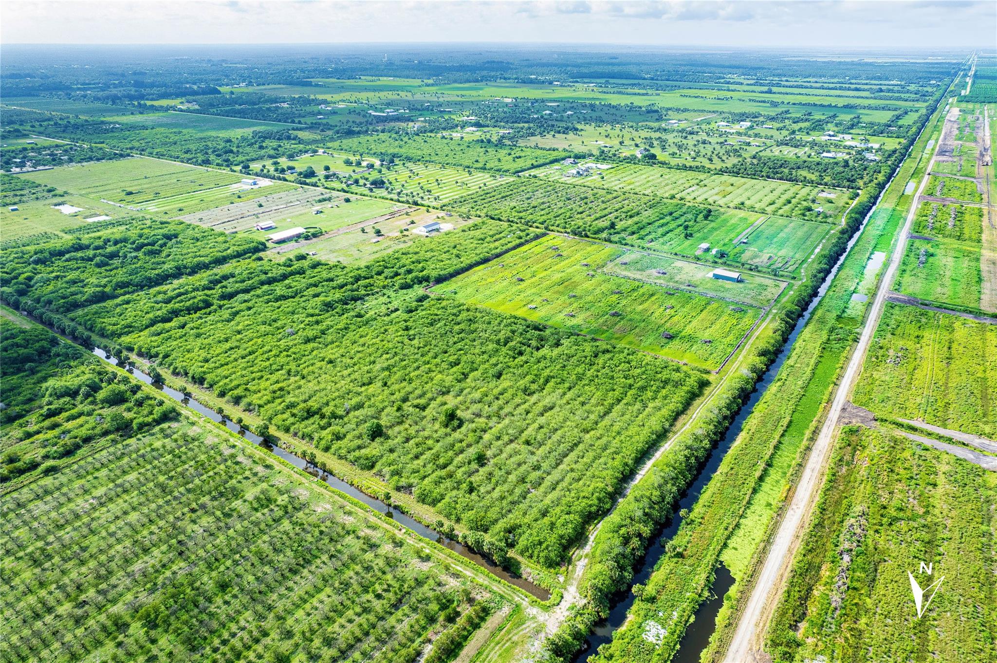 Fellsmere Farms - Land