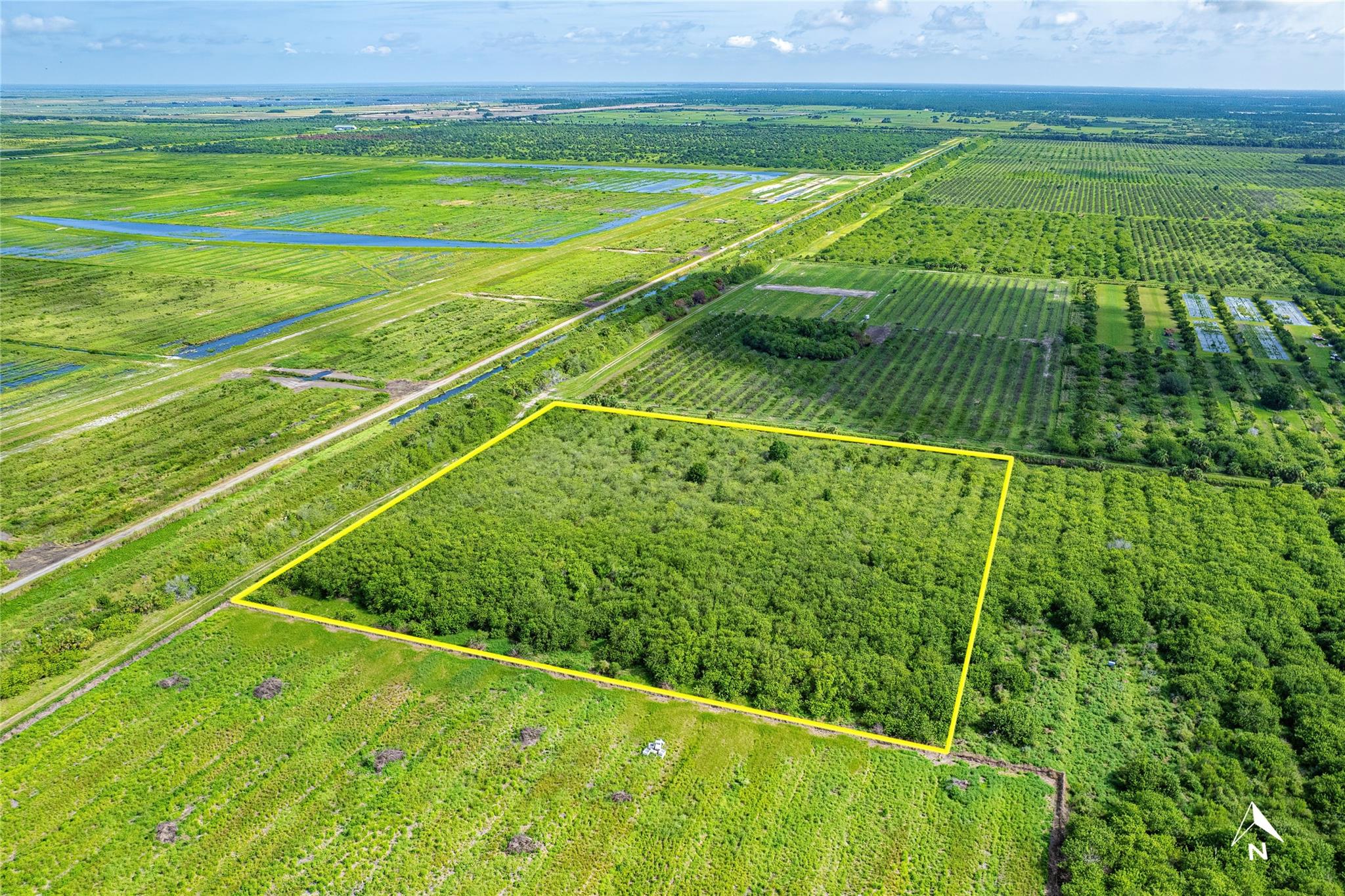 Fellsmere Farms - Land