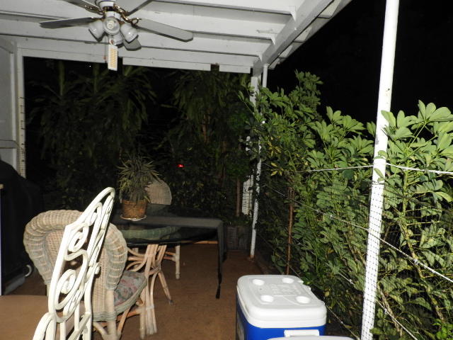 COLLIER MANOR - Residential