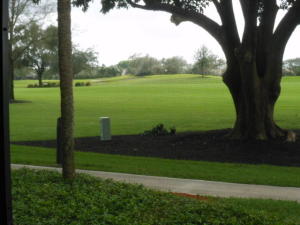 Willow Wood - Residential Lease