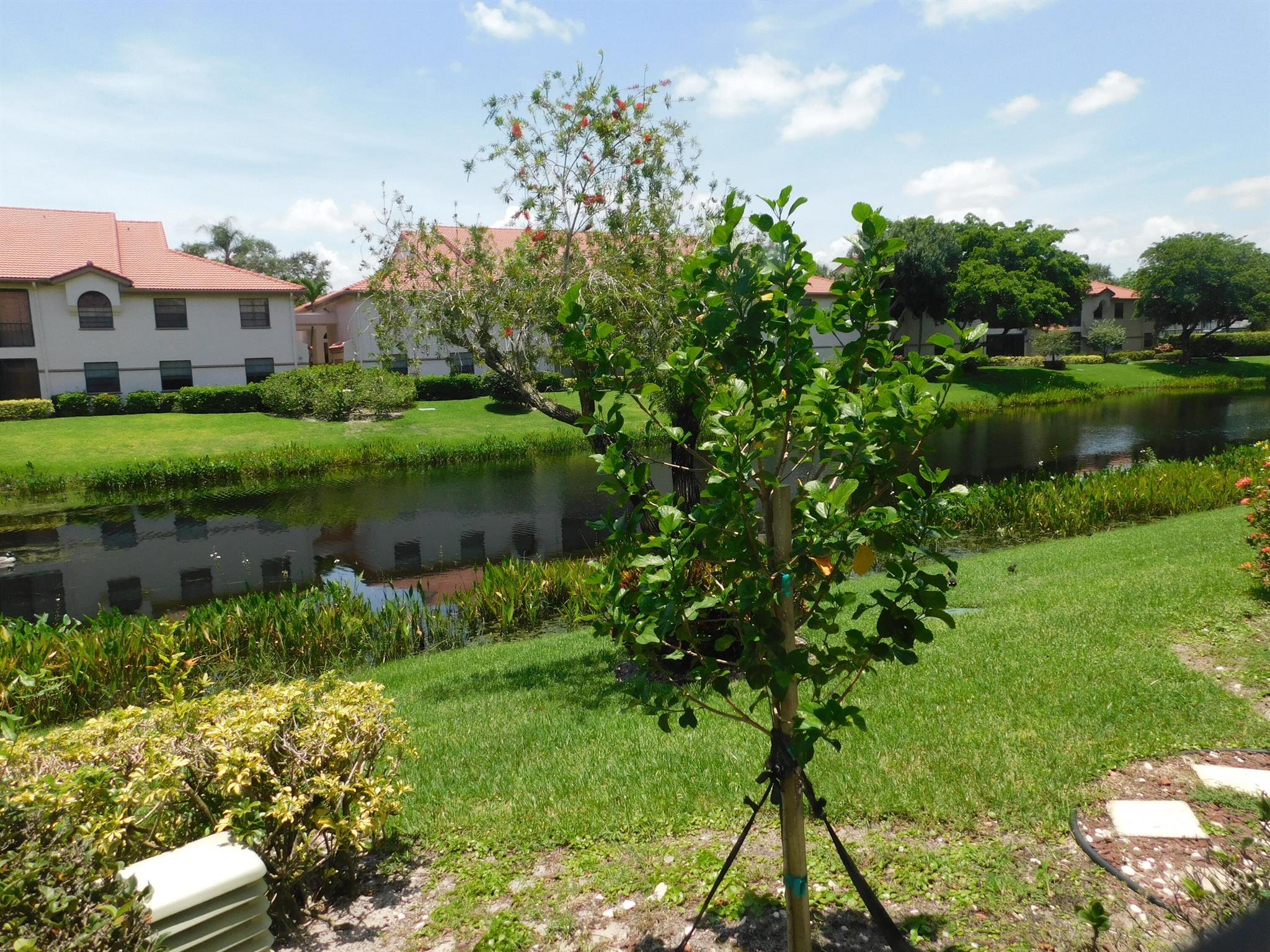 PLATINA / DIAMANTE VILLAGE - Residential