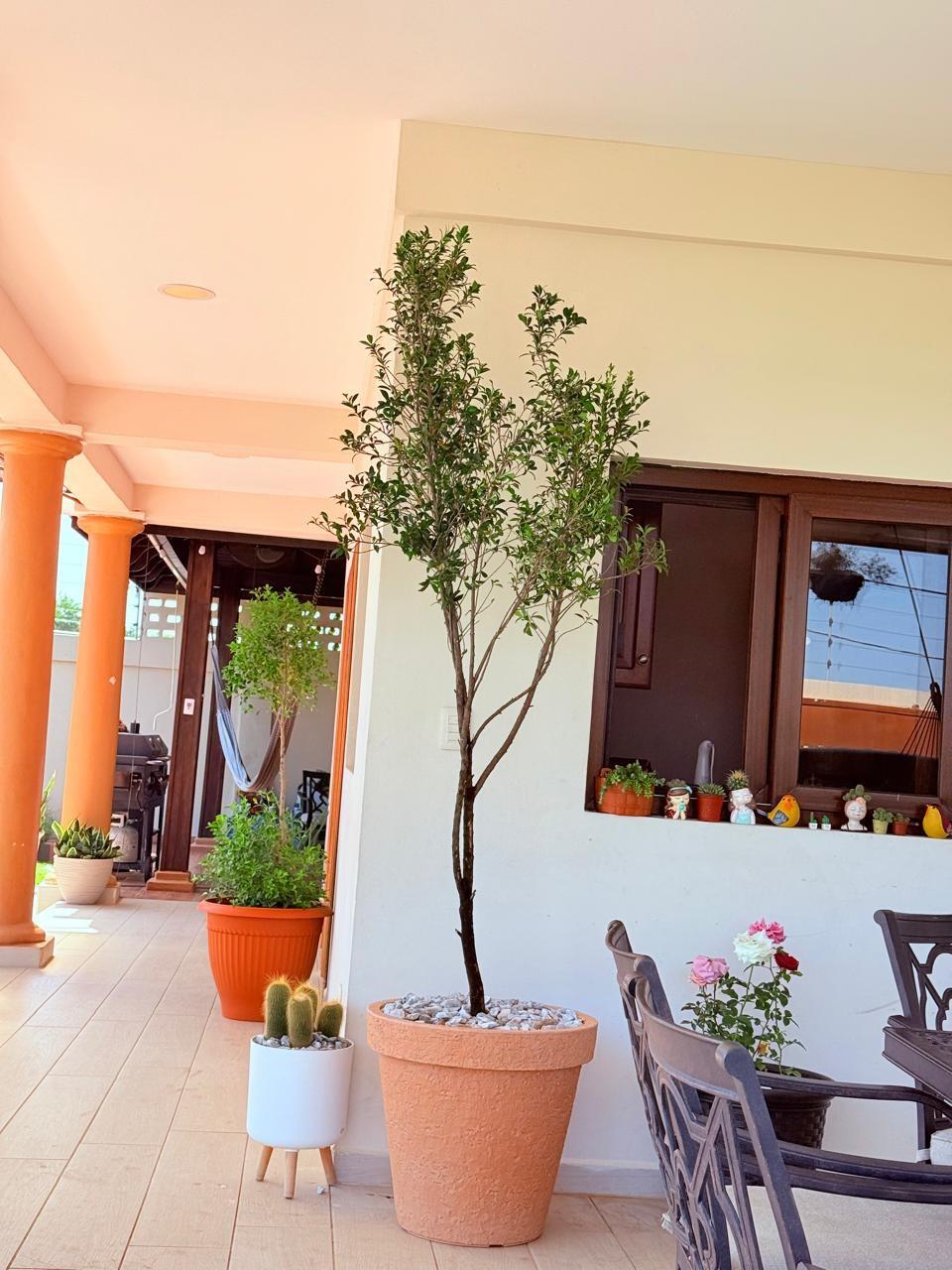 Complejo Brisa Marina - Residential