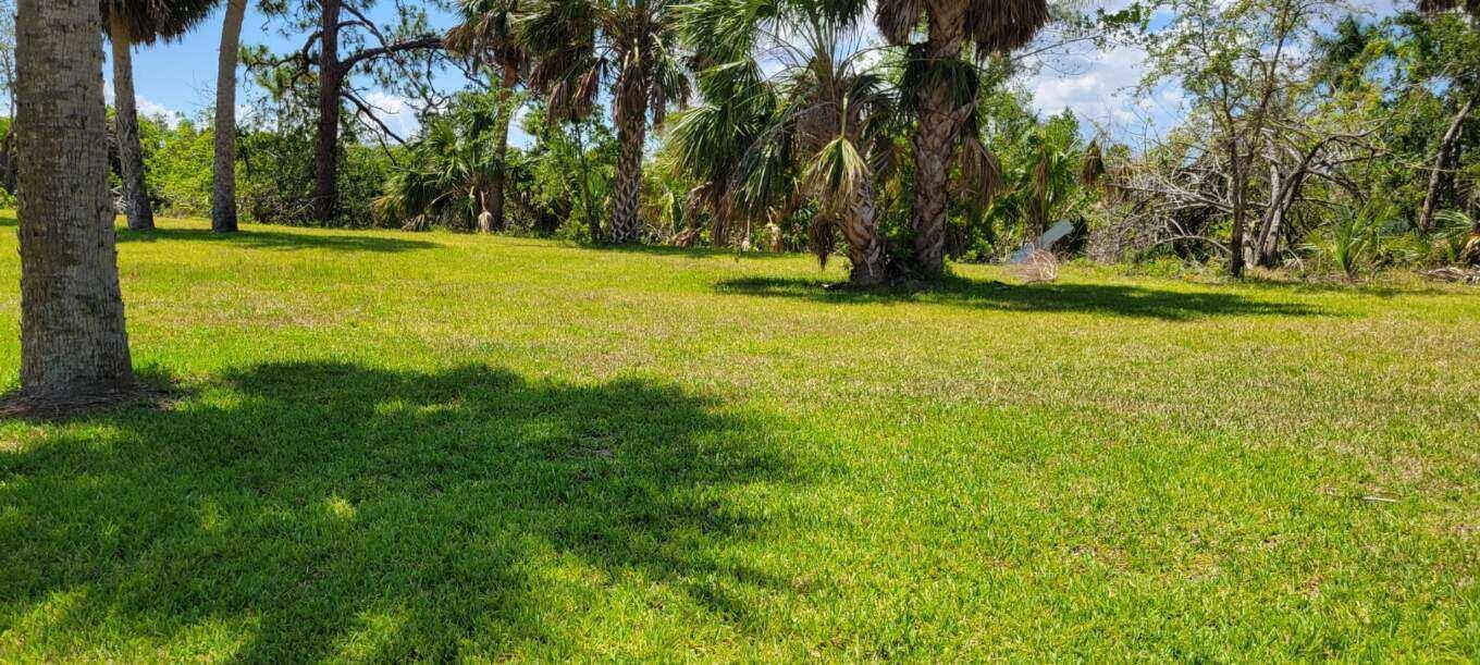 Beautiful lot with 125ft of waterfront footage just off the Myakka River, with GULF access! Enjoy boating, fishing, kayaking and more from your backyard! Build your dream home, enjoy the wildlife, nature and serenity. Located just outside Venice and Englewood, for shopping, and dining. Myakka state park is just minutes away. This lot is cleared, but still offers palm trees and landscaping. No HOA!