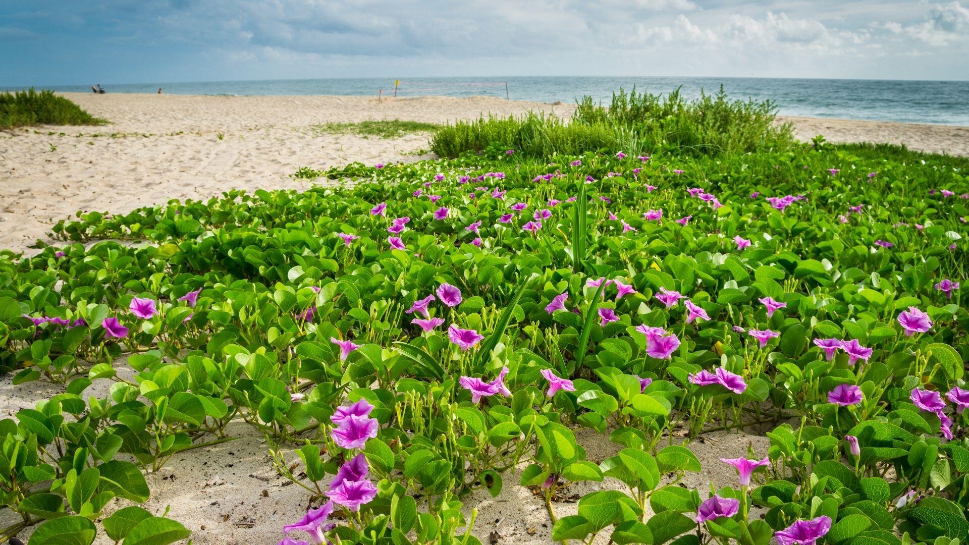 FORT PIERCE SHORES UNIT 4 REPLAT - Land